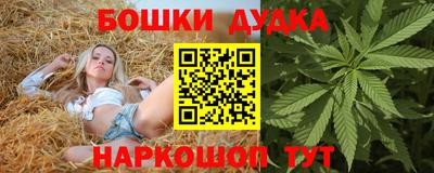 тгк Будённовск