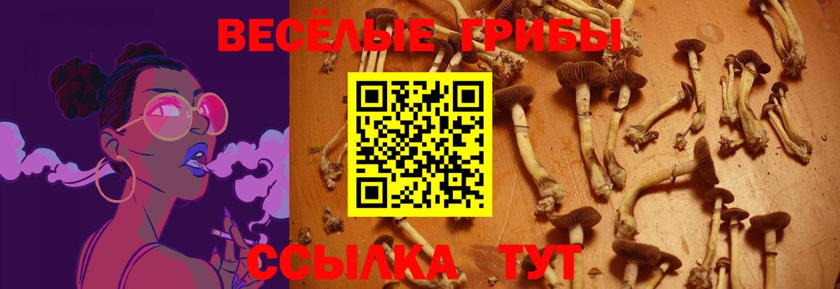 Старая Русса  Галлюциногенные грибы Psilocybine cubensis  Вход с VPN 